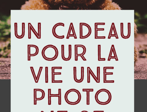 Un cadeau pour la vie – Une photo ne se jette pas